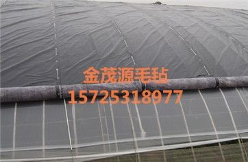 山東金茂源 大棚防寒保溫棉被與道路建設(shè)的雙重守護者